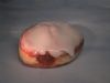 Regular Paczki - Apricot
