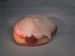 Regular Paczki - Apricot